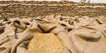 منڈی بہاؤالدین میں گندم کے گوداموں پر چھاپے، 400 ٹن گندم برآمد