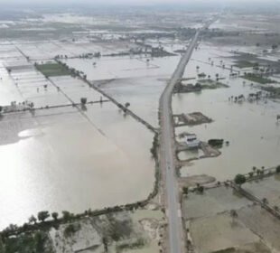 پنجاب کےکئی اضلاع میں سیلاب، ہزاروں دیہات زیرآب، لاکھوں افراد متاثر 1 پنجاب کےکئی اضلاع میں سیلاب، ہزاروں دیہات زیرآب، لاکھوں افراد متاثر