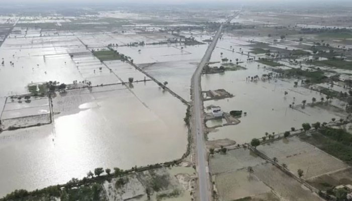 پنجاب کےکئی اضلاع میں سیلاب، ہزاروں دیہات زیرآب، لاکھوں افراد متاثر 1 پنجاب کےکئی اضلاع میں سیلاب، ہزاروں دیہات زیرآب، لاکھوں افراد متاثر