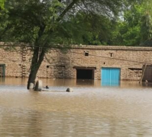 نوشہروفیروزمیں بند ٹوٹنے سے پانچ دیہات زیرِ آب، فصلوں کوشدید نقصان