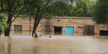 نوشہروفیروزمیں بند ٹوٹنے سے پانچ دیہات زیرِ آب، فصلوں کوشدید نقصان