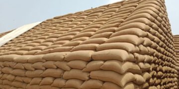 پنجاب میں کریک ڈاؤن، 200 سے زائد گوداموں سے ذخیرہ شدہ گندم برآمد