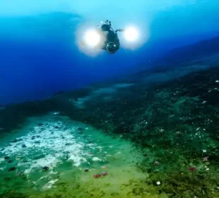 انٹارکٹیکا میں سمندری فرش سے میتھین کے نئے رساؤ دریافت 7 انٹارکٹیکا میں سمندری فرش سے میتھین کے نئے رساؤ دریافت