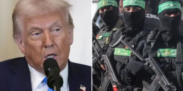 ٹرمپ کا دعویٰ: حماس کو امریکا کی جانب سے مخصوص مدت تک مسلح رہنے کی اجازت دی گئی 11 ٹرمپ کا دعویٰ: حماس کو امریکا کی جانب سے مخصوص مدت تک مسلح رہنے کی اجازت دی گئی