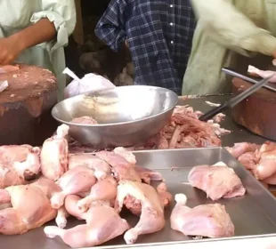 مردار مرغی کا گوشت سپلائی کرنے والا گروہ بے نقاب، 80 کلو گوشت برآمد