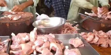 مردار مرغی کا گوشت سپلائی کرنے والا گروہ بے نقاب، 80 کلو گوشت برآمد