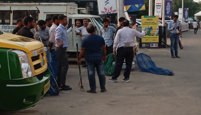 نئی دہلی میں ورلڈ پیرا ایتھلیٹکس چیمپئن شپ کے دوران آوارہ کتوں کا حملہ، غیر ملکی کوچز زخمی