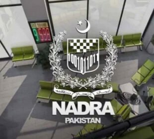 نادرا میں بھرتیاں، نئے دفاتر کے لیے مختلف اضلاع میں پلاٹس خریدنے کا فیصلہ
