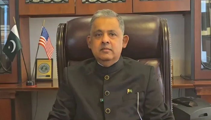 پاکستان چین اور امریکا کے درمیان مثبت کردار ادا کرنے کیلئے تیار ہے، پاکستانی سفیر