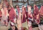 بڑھاپے میں گوشت چھوڑنا مہنگا پڑ سکتا ہے؟ چینی تحقیق میں دلچسپ دعویٰ