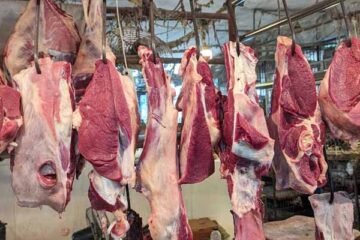 بڑھاپے میں گوشت چھوڑنا مہنگا پڑ سکتا ہے؟ چینی تحقیق میں دلچسپ دعویٰ