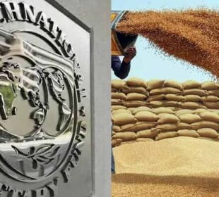 آئی ایم ایف کا پاکستان کی نئی گندم پالیسی پر اعتراض، وضاحت طلب