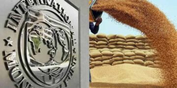 آئی ایم ایف کا پاکستان کی نئی گندم پالیسی پر اعتراض، وضاحت طلب