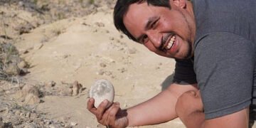 ڈائناسور انڈے کی دریافت سے سائنسدان حیران — 7 کروڑ سال بعد بھی بالکل محفوظ! 38 ڈائناسور انڈے کی دریافت سے سائنسدان حیران — 7 کروڑ سال بعد بھی بالکل محفوظ!