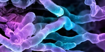 پچاس سال پرانی دوا سے نیا اینٹی بایوٹک دریافت، سائنس دانوں کی حیران کن کامیابی