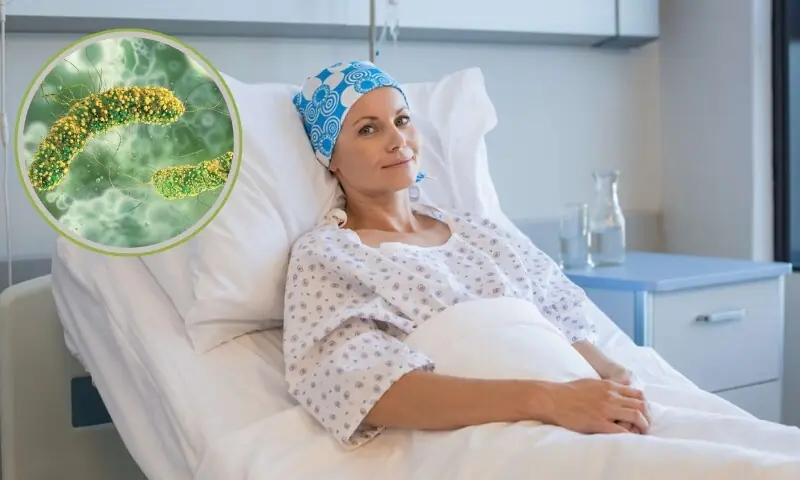 بیکٹیریا سے کینسر کا علاج — “زندہ دوا” کا نیا دور