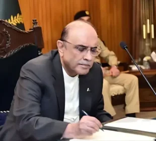 صدر زرداری نے پاکستان آرمی، ایئر فورس اور نیوی ایکٹ میں ترامیم کی منظوری دے دی