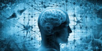 سویڈن کے محققین نے ڈیمنشیا کی شناخت کے لیے جدید ٹیکنالوجی تیار کر لی 30 سویڈن کے محققین نے ڈیمنشیا کی شناخت کے لیے جدید ٹیکنالوجی تیار کر لی