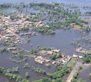 پاکستانی کسانوں کا ماحولیاتی نقصان پر جرمن کمپنیوں کے خلاف قانونی کارروائی کا اعلان