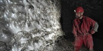 دنیا کا سب سے بڑا مکڑیوں کا جالا دریافت 23 دنیا کا سب سے بڑا مکڑیوں کا جالا دریافت