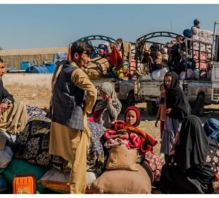 افغانستان واپسی کا عمل تیز، ایک دن میں 11 ہزار سے زائد مہاجرین روانہ 7 افغانستان واپسی کا عمل تیز، ایک دن میں 11 ہزار سے زائد مہاجرین روانہ