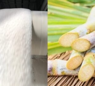 پنجاب کی شوگر ملوں میں ہلچل—کیا کسی خفیہ دباؤ نے رخ موڑا؟