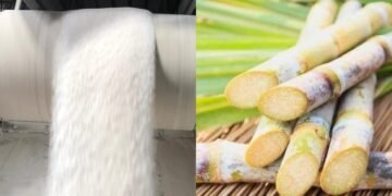 پنجاب کی شوگر ملوں میں ہلچل—کیا کسی خفیہ دباؤ نے رخ موڑا؟ 15 پنجاب کی شوگر ملوں میں ہلچل—کیا کسی خفیہ دباؤ نے رخ موڑا؟