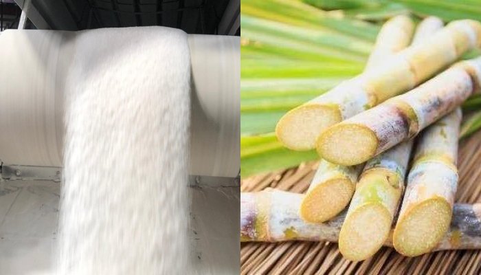 پنجاب کی شوگر ملوں میں ہلچل—کیا کسی خفیہ دباؤ نے رخ موڑا؟