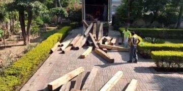 لکڑی اسمگلنگ کا بڑا کیس ، ملزم پر ملکی تاریخ کا بھاری ترین جرمانہ 16 لکڑی اسمگلنگ کا بڑا کیس ، ملزم پر ملکی تاریخ کا بھاری ترین جرمانہ