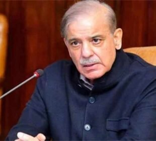 وزیراعظم نے اقتصادی رابطہ کمیٹی کی تشکیل نو کر دی 2 وزیراعظم نے اقتصادی رابطہ کمیٹی کی تشکیل نو کر دی