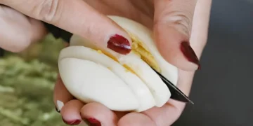 ابلے ہوئے انڈے: ہفتہ بھر تک محفوظ رہنے کا آسان طریقہ 18 ابلے ہوئے انڈے: ہفتہ بھر تک محفوظ رہنے کا آسان طریقہ