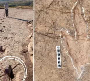 بولیویا کے ٹورو ٹورو نیشنل پارک میں قدیم ڈائنوسار ہائی وے دریافت