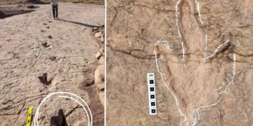 بولیویا کے ٹورو ٹورو نیشنل پارک میں قدیم ڈائنوسار ہائی وے دریافت