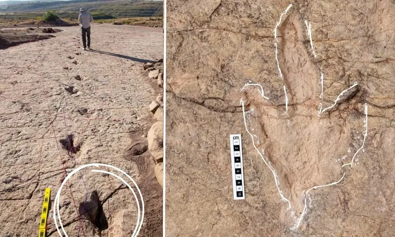 بولیویا کے ٹورو ٹورو نیشنل پارک میں قدیم ڈائنوسار ہائی وے دریافت