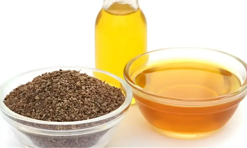 گھریلو علاج یا محض عارضی سکون؟ اجوائن کے تیل پر ماہرین کی رائے