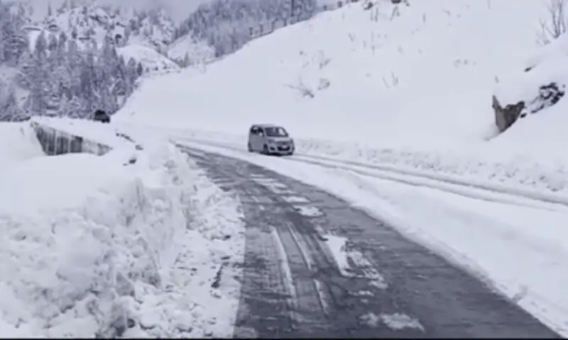 ملک بھر میں دھند اور سردی کی لہر، متعدد موٹرویز بند