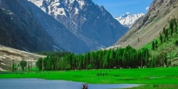 قدرتی حسن نے سب کو مسحور کر دیا، سوات اور ناران 2025 کے مقبول ترین سیاحتی مقامات 2 قدرتی حسن نے سب کو مسحور کر دیا، سوات اور ناران 2025 کے مقبول ترین سیاحتی مقامات