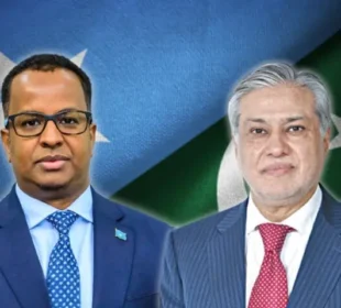 پاکستان اور صومالیہ کے وزرائے خارجہ کے درمیان ٹیلیفونک رابطہ، علاقائی سالمیت پر زور