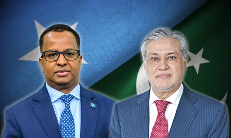 پاکستان اور صومالیہ کے وزرائے خارجہ کے درمیان ٹیلیفونک رابطہ، علاقائی سالمیت پر زور