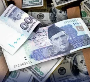 رواں مالی سال کے پانچ ماہ میں ترقیاتی اخراجات کا جائزہ