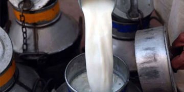 سندھ ہائیکورٹ: دودھ کے تمام نمونے غیر معیاری اور مضر صحت قرار 27 سندھ ہائیکورٹ: دودھ کے تمام نمونے غیر معیاری اور مضر صحت قرار