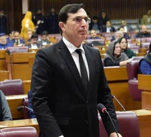 اختلاف رائے کو غداری نہ سمجھا جائے، بیرسٹر گوہر کی اپیل