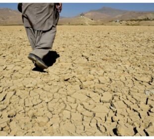 خشک سالی میں اضافہ: بلوچستان میں پانی کی قلت سنگین مرحلے میں داخل