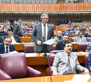 پارلیمنٹ کا مشترکہ اجلاس: اقلیتی حقوق سے متعلق بل کثرتِ رائے سے منظور