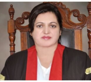 کم عمر ڈرائیورز کی گرفتاری روک دی گئی، چیف جسٹس لاہور ہائیکورٹ کے احکامات