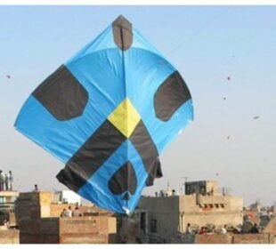 پنجاب میں پتنگ بازی کی مشروط اجازت، قوانین کے ساتھ آرڈیننس جاری