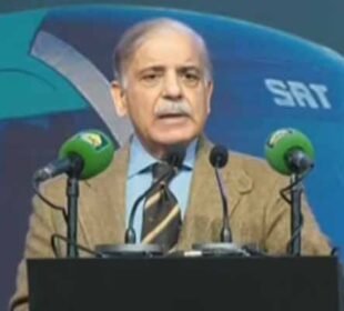 مسلم لیگ (ن) نے ملک میں تعمیراتی سیاست کی بنیاد رکھی، شہباز شریف 3 مسلم لیگ (ن) نے ملک میں تعمیراتی سیاست کی بنیاد رکھی، شہباز شریف