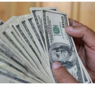 پاکستان میں قانونی ذرائع سے رقوم کی ترسیل 50 ارب ڈالر سالانہ سے بڑھنے کا امکان