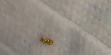 بچے نے ماں کا مہنگا طلائی ہار ٹکڑے ٹکڑے کرکے دوستوں میں بانٹ دیا