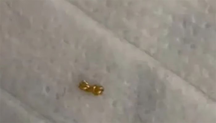 بچے نے ماں کا مہنگا طلائی ہار ٹکڑے ٹکڑے کرکے دوستوں میں بانٹ دیا